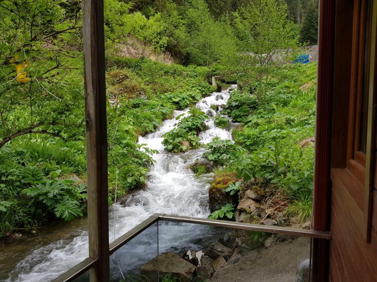 Faraksi Bungalow & Otel Uzungöl Luaran gambar
